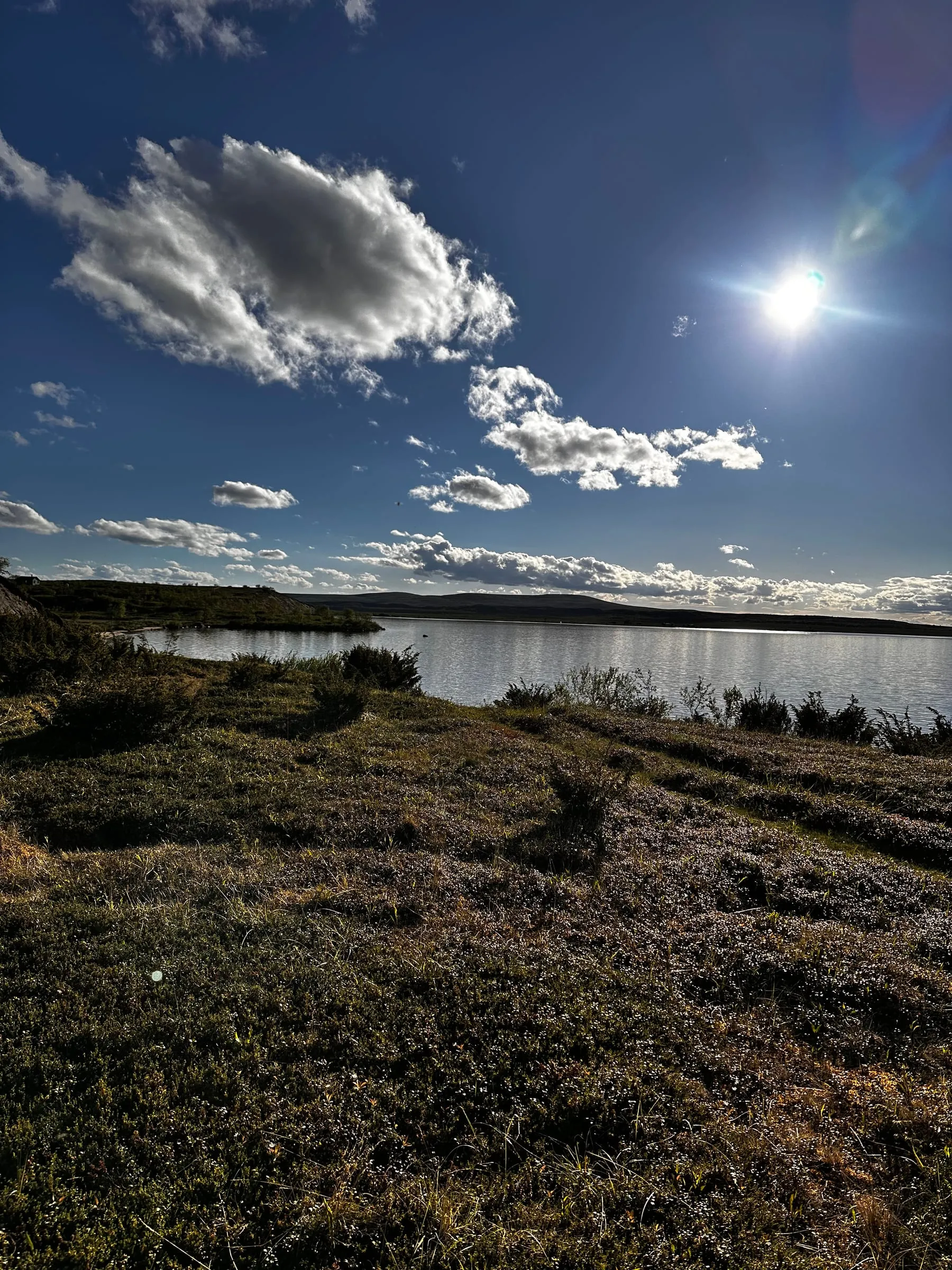 Vastavalossa kimalteleva järvi ja heinikkoa rannalla